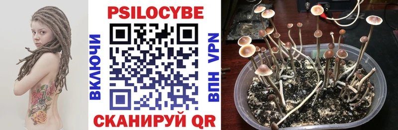 KRAKEN ССЫЛКА  где продают   Ачинск  Псилоцибиновые грибы прущие грибы 